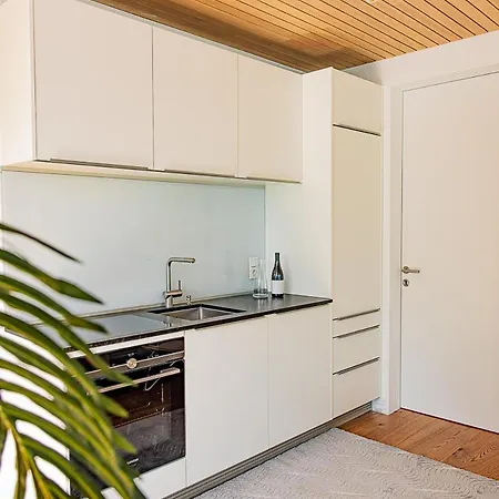 Luxus-apartments Direkt Am Attersee Seewalchen