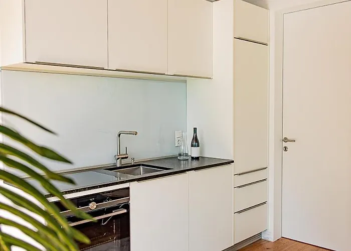 Luxus-apartments Direkt Am Attersee Seewalchen